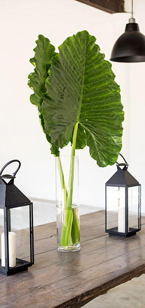 south house weligama